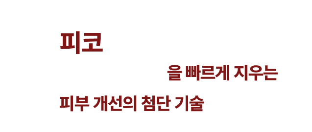 피코플러스 소개