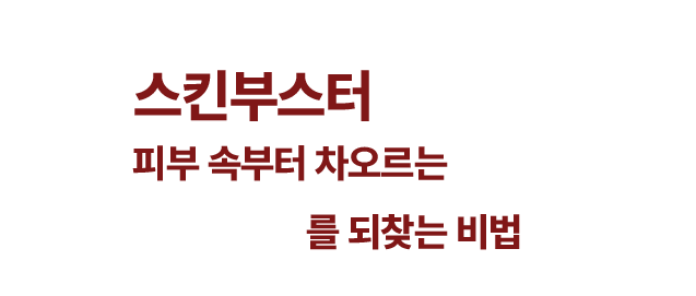 스킨부스터 소개